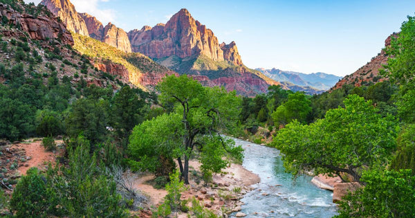 mountain and river view in Zion National Park